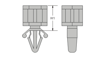 proimages/CS1-1.jpg