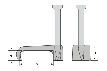 proimages/NF-1.jpg